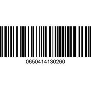 Angel Himalayan Salt Lamp