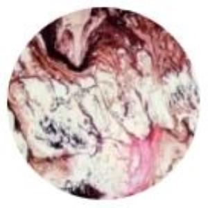 Cassiopeia Handmade Lamp in painted glass h. 45 cm.