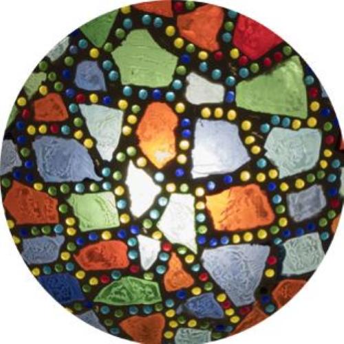 family 12 - Harlequin