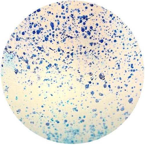 Atlante Handmade Lamp in painted glass h. 45 cm.