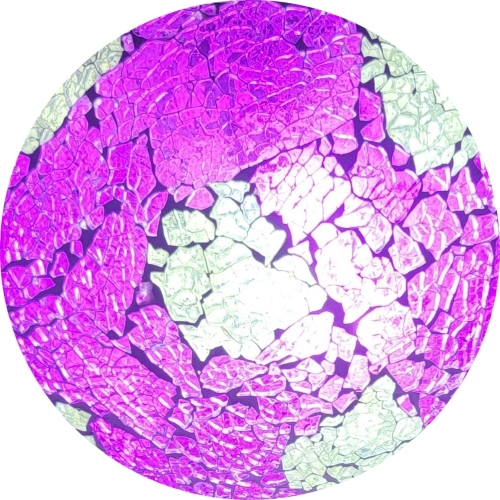 family 45 - Purple reflections