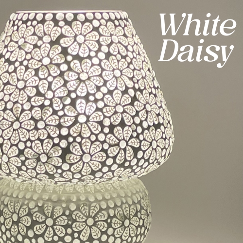 family 02 - White Daisy