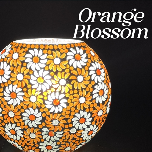 family 17 - Orange Blossom