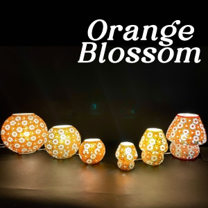 family 17 - Orange Blossom