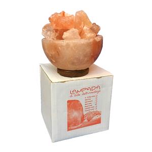 Himalayan salt lamp bowl with pieces