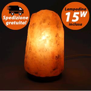 Himalayan Salt Lamp 4 - 6 Kg.