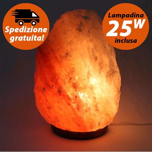 Himalayan Salt Lamp 8 - 10 Kg.