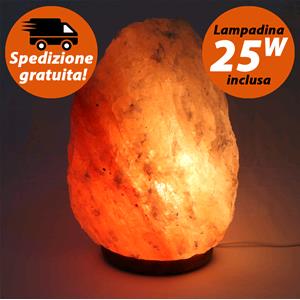 Himalayan Salt Lamp 8 - 10 Kg.