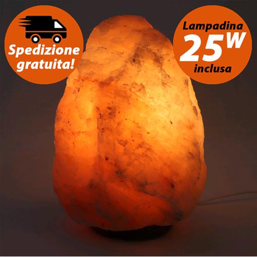 Himalayan Salt Lamp 10 - 15 Kg.