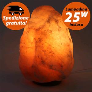 Himalayan Salt Lamp 10 - 15 Kg.
